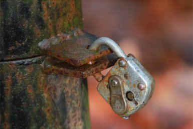 Lockdown in the Netherlands